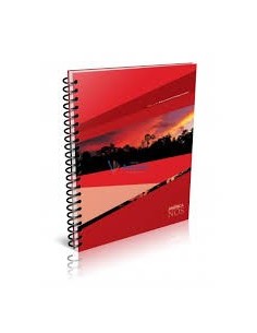 Cuaderno America A4 T/B C/Esp 80Hjs Rayado