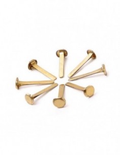 Broche 2 Patas Dorados N°8 | 41mm