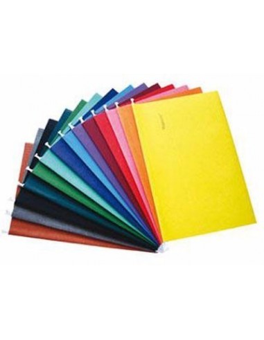 Carpeta Colgante Nepaco x 25 | Azul Marino