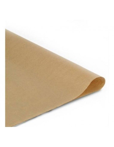 Papel Kraft 80Gr 70 x 100cm | x 10